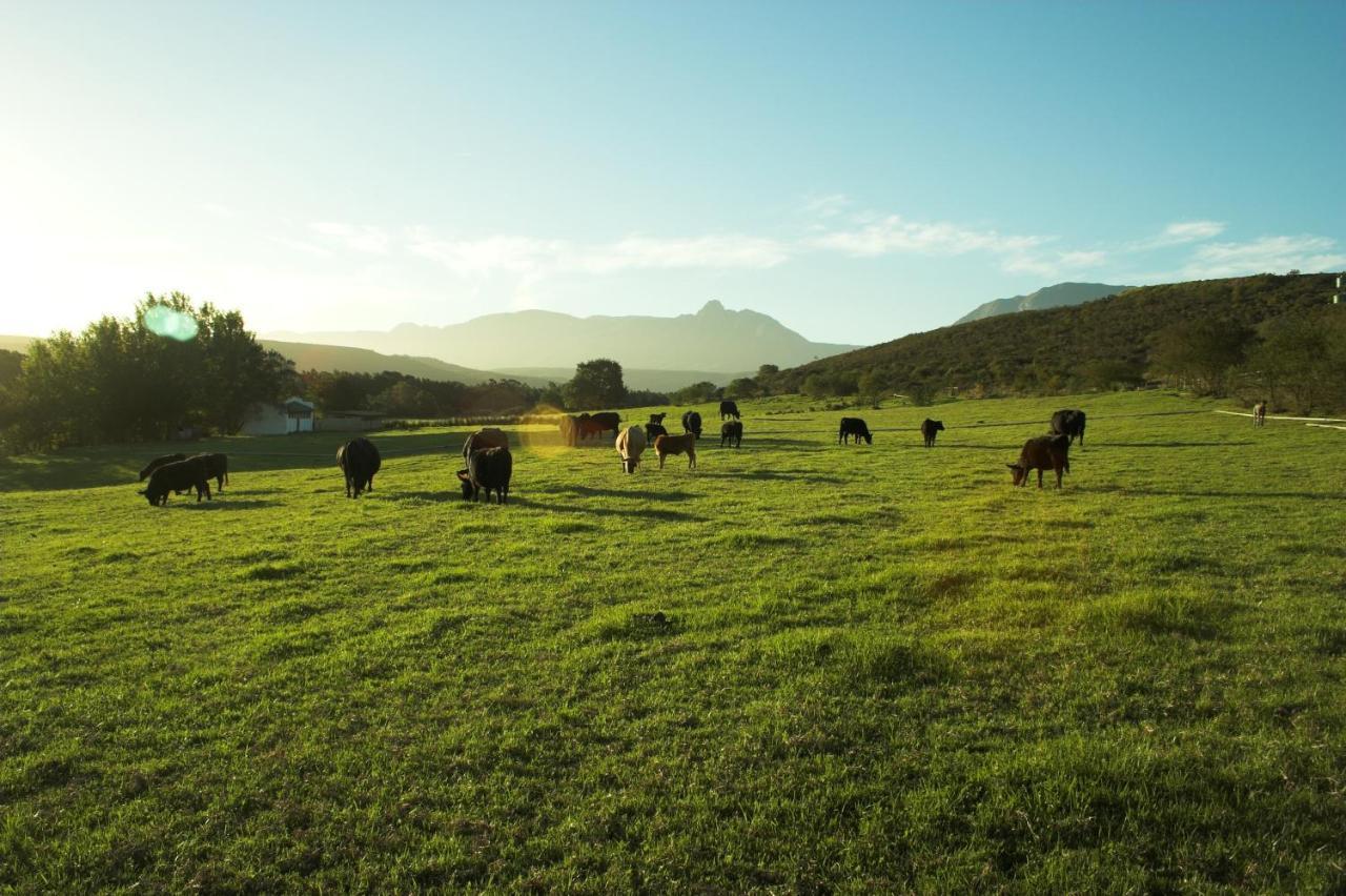 Zeekoegat Historical Homestead Riversdale Eksteriør bilde