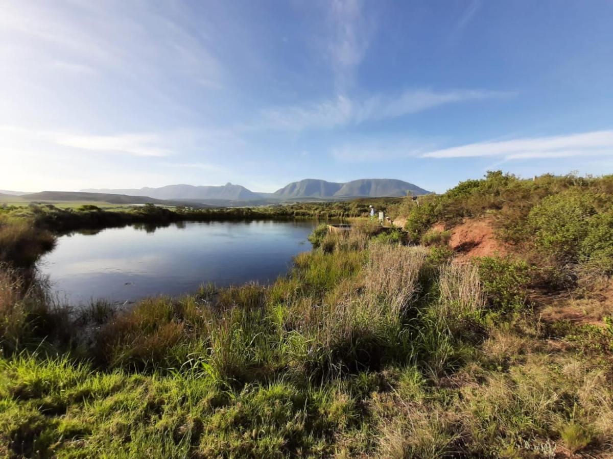 Zeekoegat Historical Homestead Riversdale Eksteriør bilde
