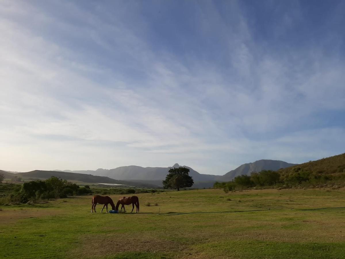 Zeekoegat Historical Homestead Riversdale Eksteriør bilde
